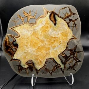 Septarian slab w night light stand #3